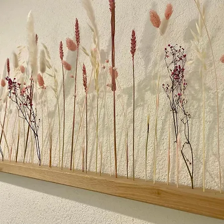 Kleines Nest Mit Bergblick